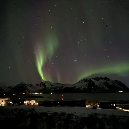 Luxury With Sauna בית נופש Lyngværet